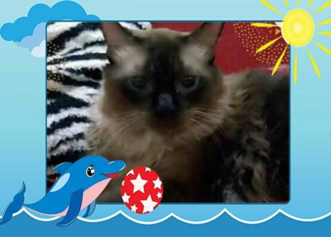 gracyc4ndido's tweet photo. https://t.co/EshgfZXsly
