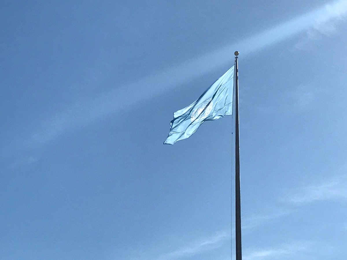 AminaJMohammed's tweet image. With every flag, every colleague, and every partner – #UNDay is a moment to reaffirm our solidarity with people for peace and prosperity, everywhere.