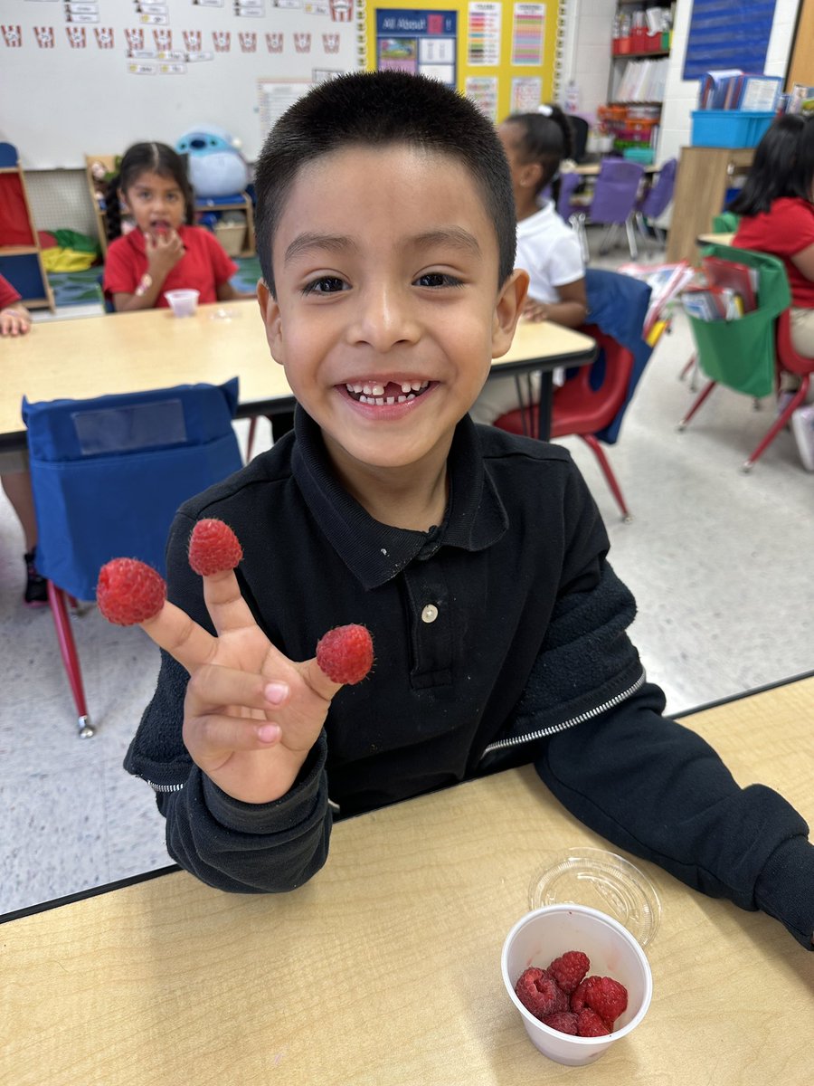 Room 102 loved their raspberries. And had fun eating them too! 😄 #RBBisBIA #FFVatRBPS <a href="/NurseReardon/">Nurse Reardon</a> <a href="/rbpsEAGLES/">Red Bank Primary</a> <a href="/ChartwellsK12/">Chartwells K12</a> <a href="/D_OrchardsNJ/">Delicious Orchards</a>