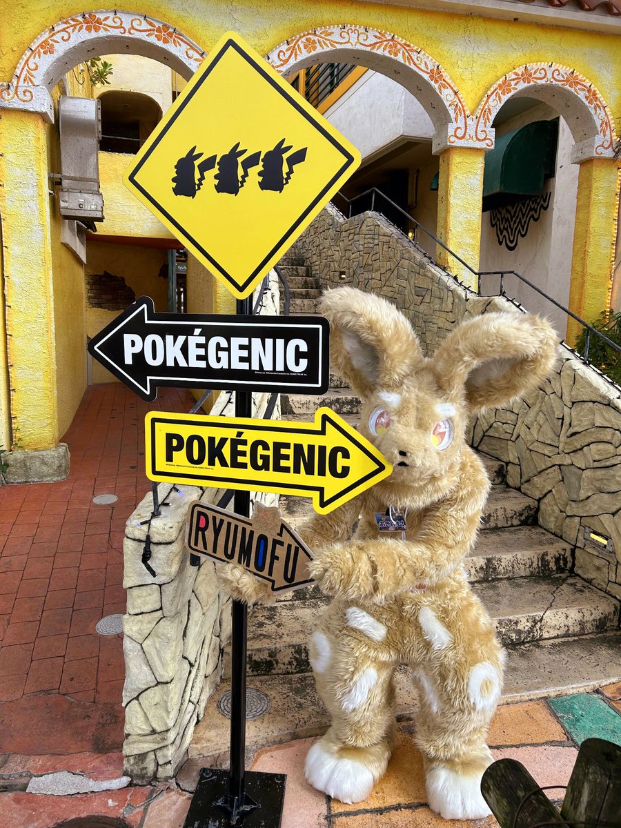 🔸
&lt;- POKÉGENIC
POKÉGENIC -&gt; 🐰
RYUMOFU -&gt;

#おきけも 
#FursuitFriday 
#びっつちゃんねる