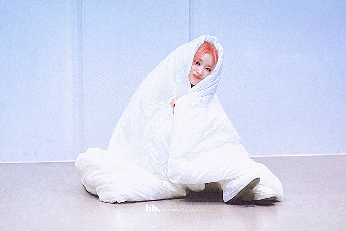 hobby_ej's tweet photo. 241024 자께요💤💤

#DreamNote #드림노트
#은조 #Eunjo https://t.co/AccQuR5yJb