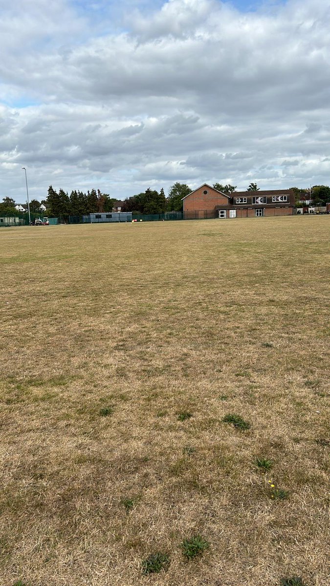 Roy Rigby tweet media