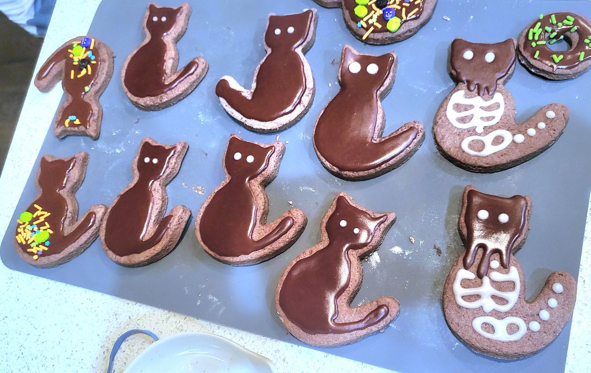 Camphorous (@camphorous) on Twitter photo 