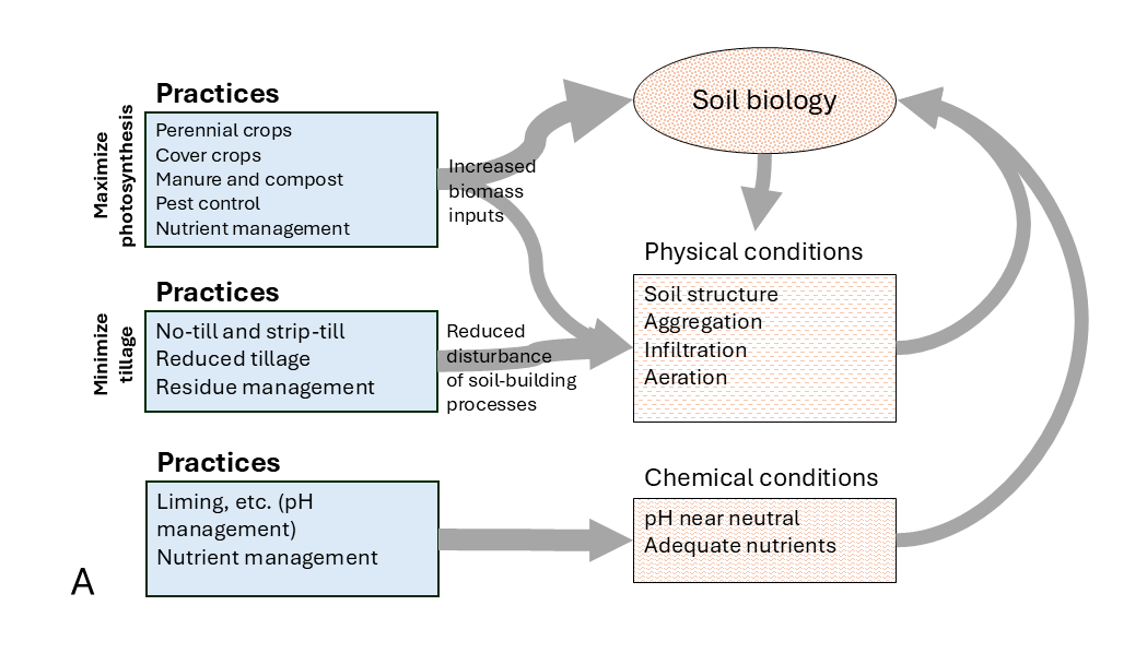 agronomistag's tweet photo. Practices improve soil's physical conditions,
products don't.

And improved physical conditions benefit soil biology.
See article link below. ⬇️ https://t.co/R5z1Xm5fcW