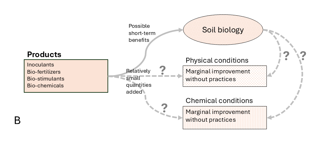 agronomistag's tweet photo. Practices improve soil's physical conditions,
products don't.

And improved physical conditions benefit soil biology.
See article link below. ⬇️ https://t.co/R5z1Xm5fcW