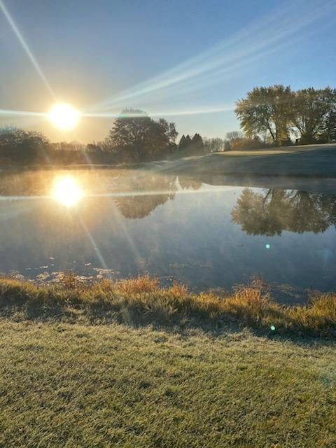 I little frost on the pumpkin this morning!