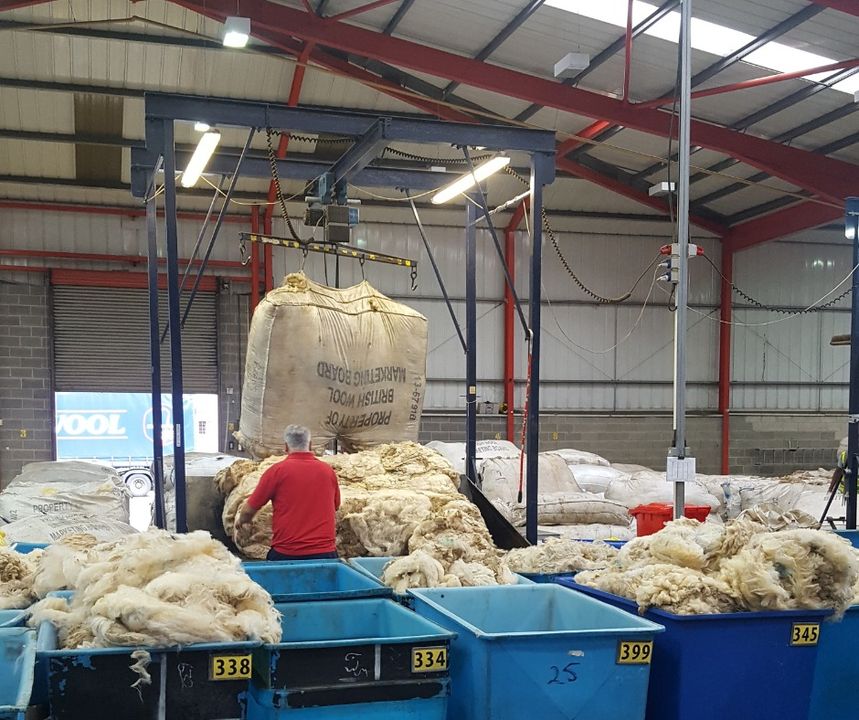 British Wool Farm tweet media