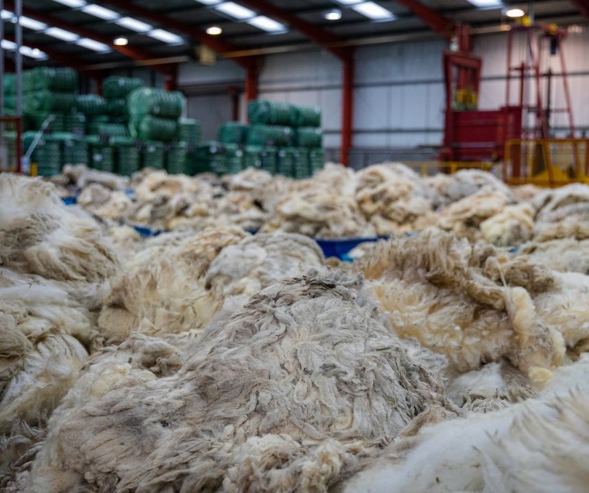 British Wool Farm tweet media