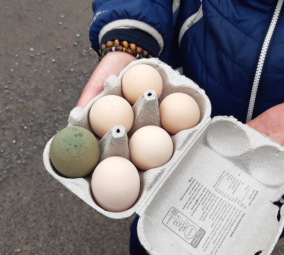 David Gardiner (@laidbackbikes) on Twitter photo Tandem rides are social rides but nice though to have extra company on loop round by Glenisla. Stop by the wee cabin with honesty box (and cctv!) on way back. Also got eggs at another location so exercise and shopping. Zero other cyclists out. <a href="/CyclingEdin/">Cycling Edinburgh</a> <a href="/CateranEco/">Cateran Ecomuseum</a> Tandem rides are social rides but nice though to have extra company on loop round by Glenisla. Stop by the wee cabin with honesty box (and cctv!) on way back. Also got eggs at another location so exercise and shopping. Zero other cyclists out. <a href="/CyclingEdin/">Cycling Edinburgh</a> <a href="/CateranEco/">Cateran Ecomuseum</a>
