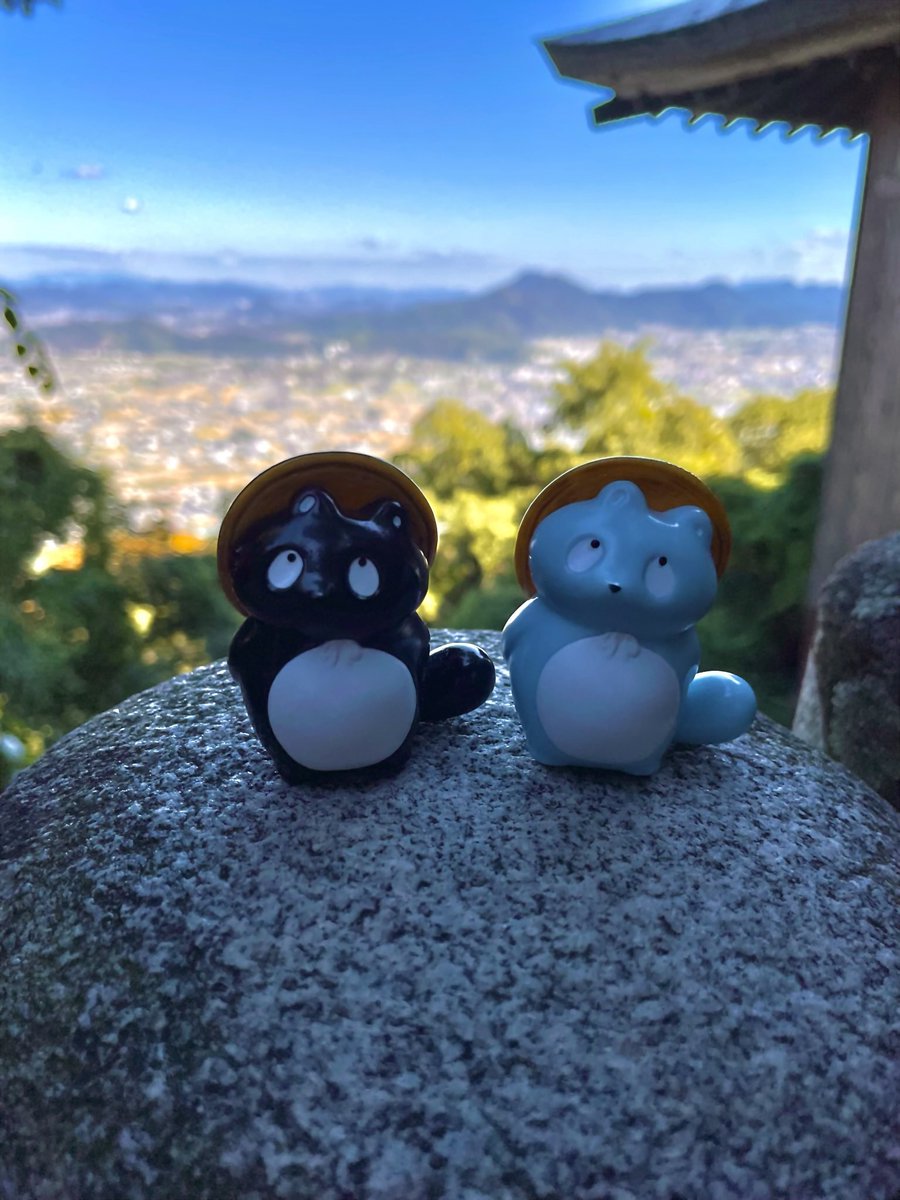 じぇいどぽんた tweet media