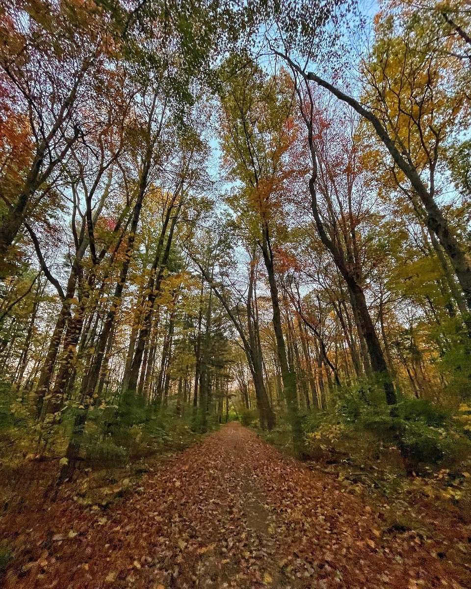 Metroparks Toledo tweet media