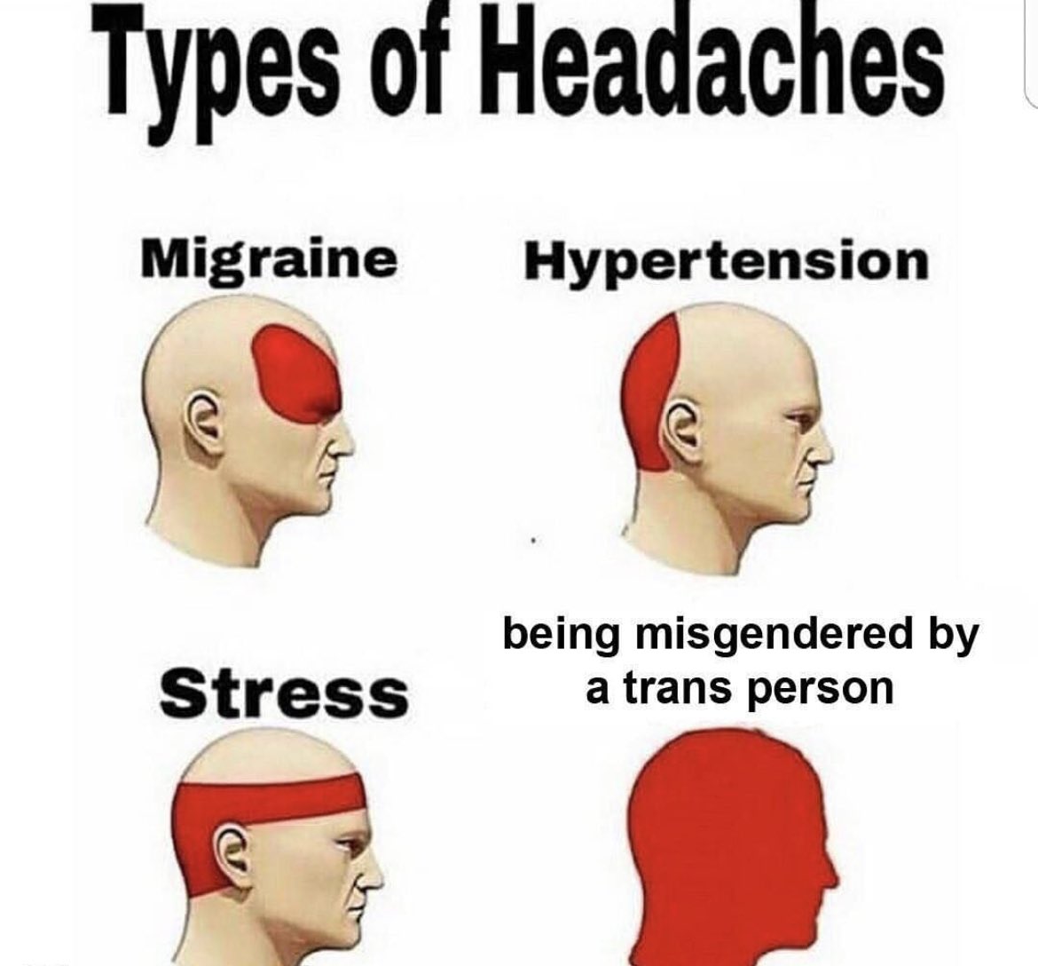 You were supposed to destroy them not join them 😭