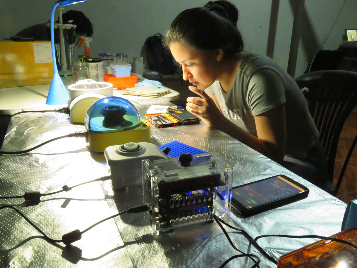 biomauro_rtg's tweet photo. Este proyecto es el primero en 🇪🇨en implementar tecnología para amplificar 🧬en campo con equipos
@miniPCR, en una carrera contra el ⌛️ para la conservación de 🐸🐸 Ecuatorianos.  

Trabajo imposible en esta aventura sin:
@Leorange69
@LeninRiascosF
@Jokamy_
@AndyGCG1 
Gracias! https://t.co/PoW3Tvnxo8