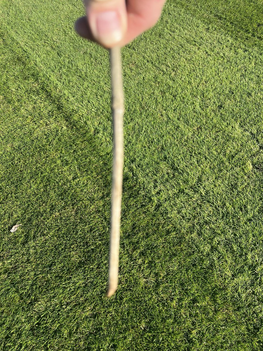 Mr Groundsman (@mrgroundsman) on Twitter photo 8 weeks since end of season reno <a href="/CottenhamCrickt/">Cottenham CC</a> . Multiple cuts, verticut, weed spray and top up feed with some holes punched in at 7inches today. 👀 8 weeks since end of season reno <a href="/CottenhamCrickt/">Cottenham CC</a> . Multiple cuts, verticut, weed spray and top up feed with some holes punched in at 7inches today. 👀