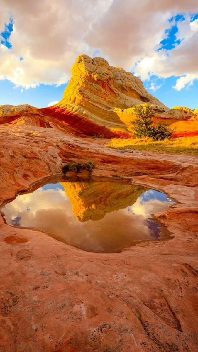 FatimaSalari 🇮🇪🇵🇸🇻🇪 tweet media