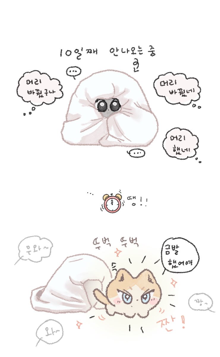 프루티🌼 (@fruity_garden) on Twitter photo 
