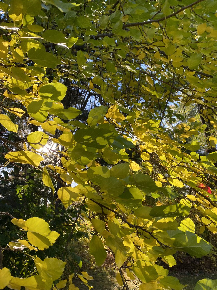 Shipping Across The Globe tweet media