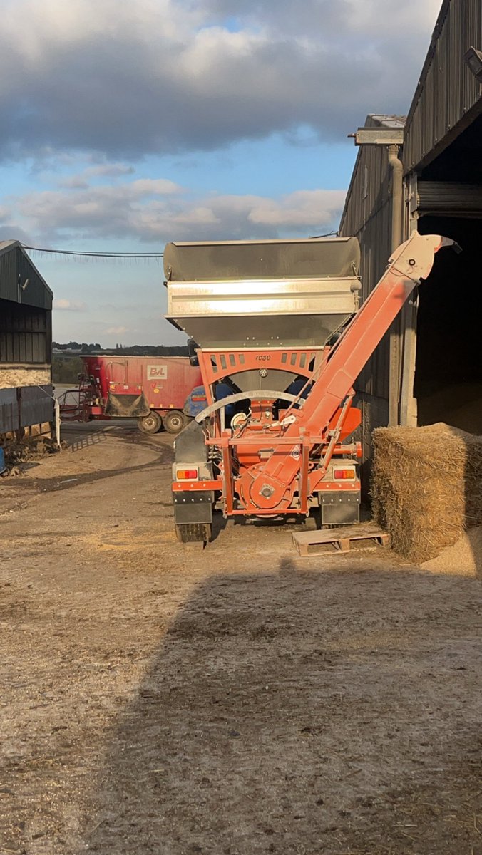 Cattle feeding is a go! #beef
