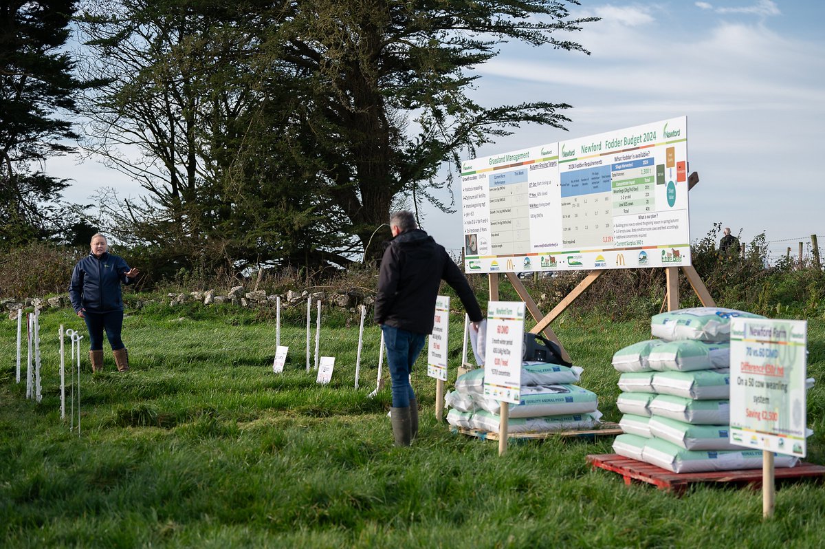 DawnDemoFarms's tweet photo. It was great to welcome 170+ students from across Ireland to Co. Roscommon yesterday for a Student Open Day at Newford Demonstration Farm 🐮
Topics discussed on the day included -
Farm Objectives, Breeding Performance, Grassland Management, followed by a Live Forum &amp; much more☑️ https://t.co/NPNYymodr9