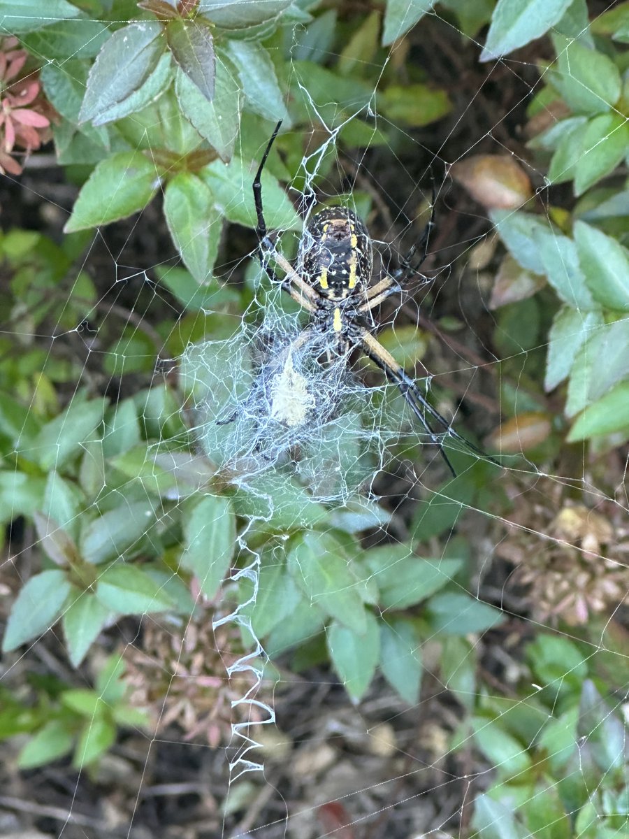 @ErbSTEAM tweet media