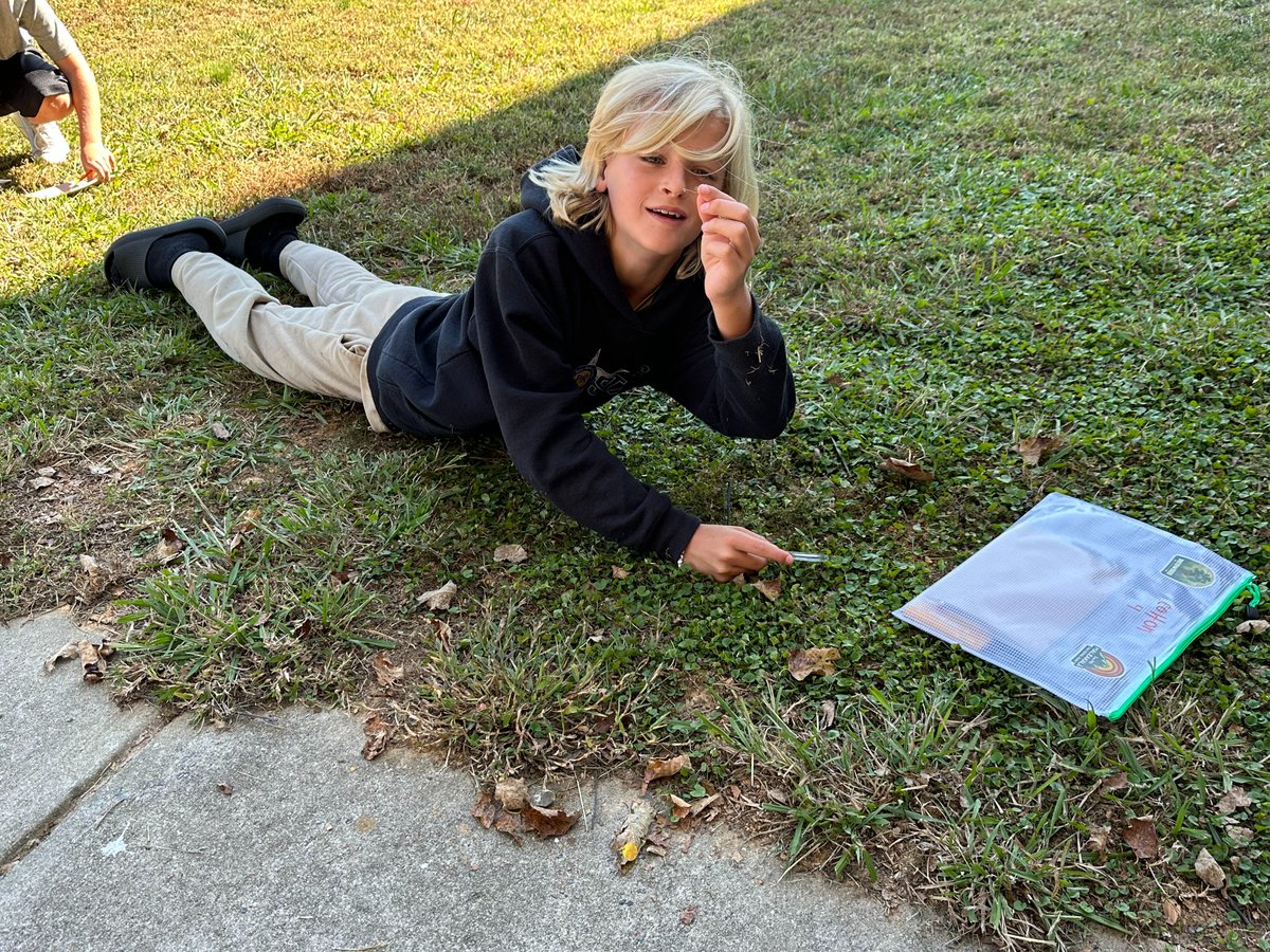 @ErbSTEAM tweet media