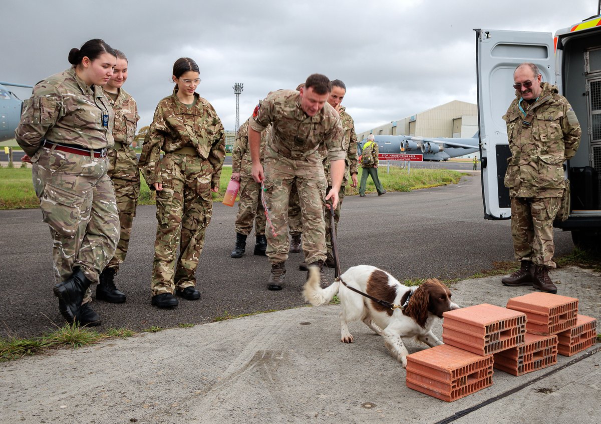 RAF Brize Norton tweet media