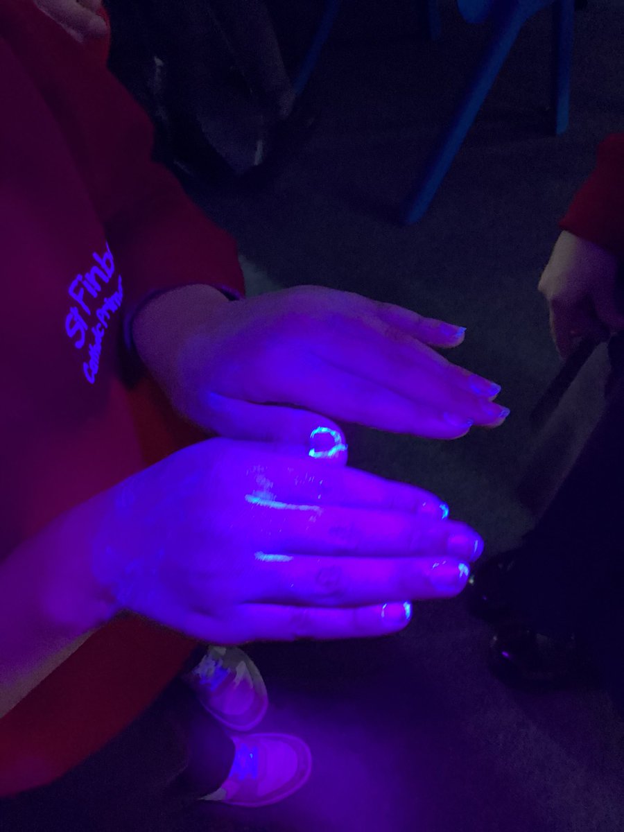 St Finbar's Year 2 Poppy Class tweet media