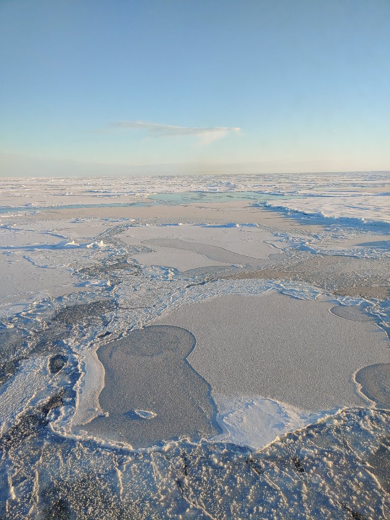 Paper with @SeaIceClimate on the #Arctic #SeaIce, revised while in the #Arctic #ice pack, accepted 🥳
Not allowed to say more right now, so enjoy the view I had while doing the revisions
#Polarstern #Climate #Cryosphere #PS144 #FrostFlowers