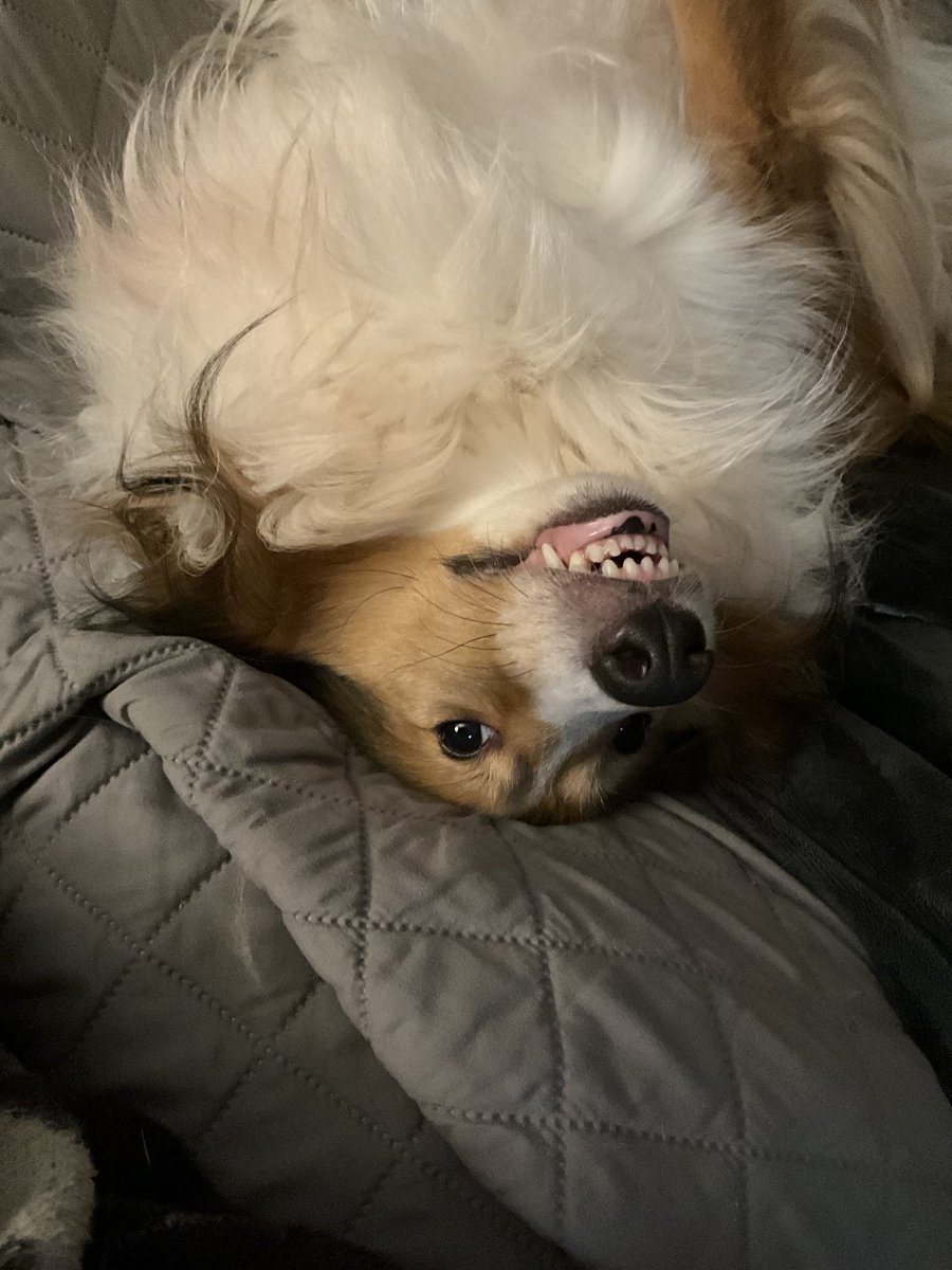 Hazel If ready to attack the day rawr !