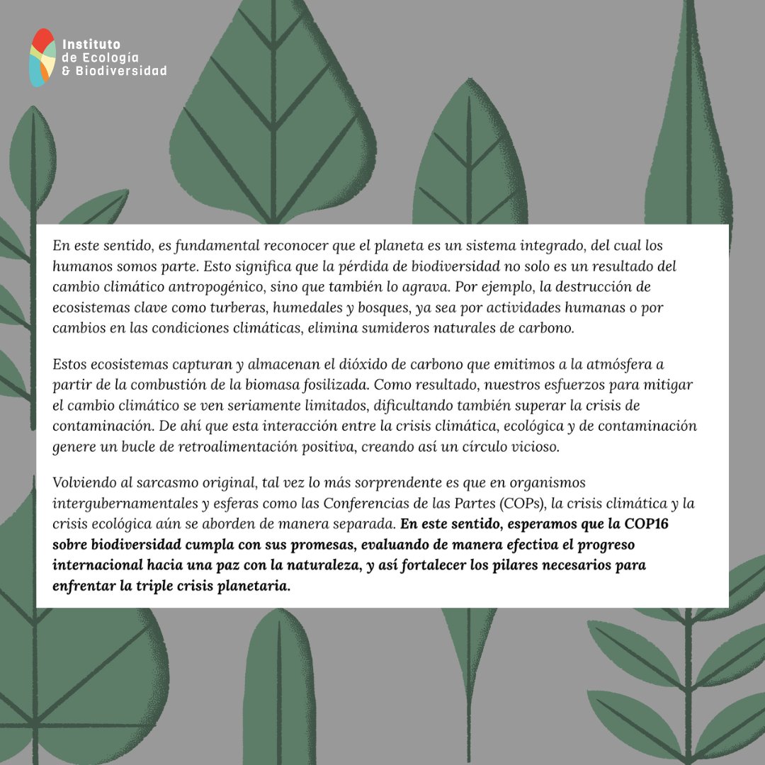 IEBChile's tweet image. 🌍 Día del Cambio Climático: Una triple crisis que nos afecta a todas y todos 🌍

Compartimos las reflexiones de nuestra investigadora @kenagayoh sobre la triple crisis que amenaza nuestro planeta y nuestra existencia.

@MMAChile  @ANID_Chile @VCCBChile  @uchile