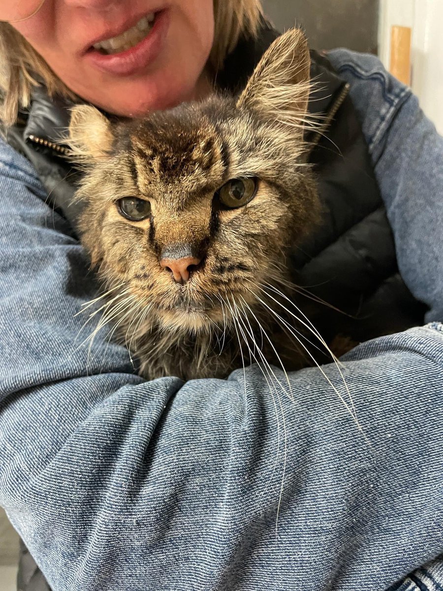 And (we doubled-checked to be sure) Rufus’ adopter wasn’t following us - they found out about Rufus thanks to someone who RTed him! Whatever this site has become, sharing still makes a difference for pets in need! #TeamRufus