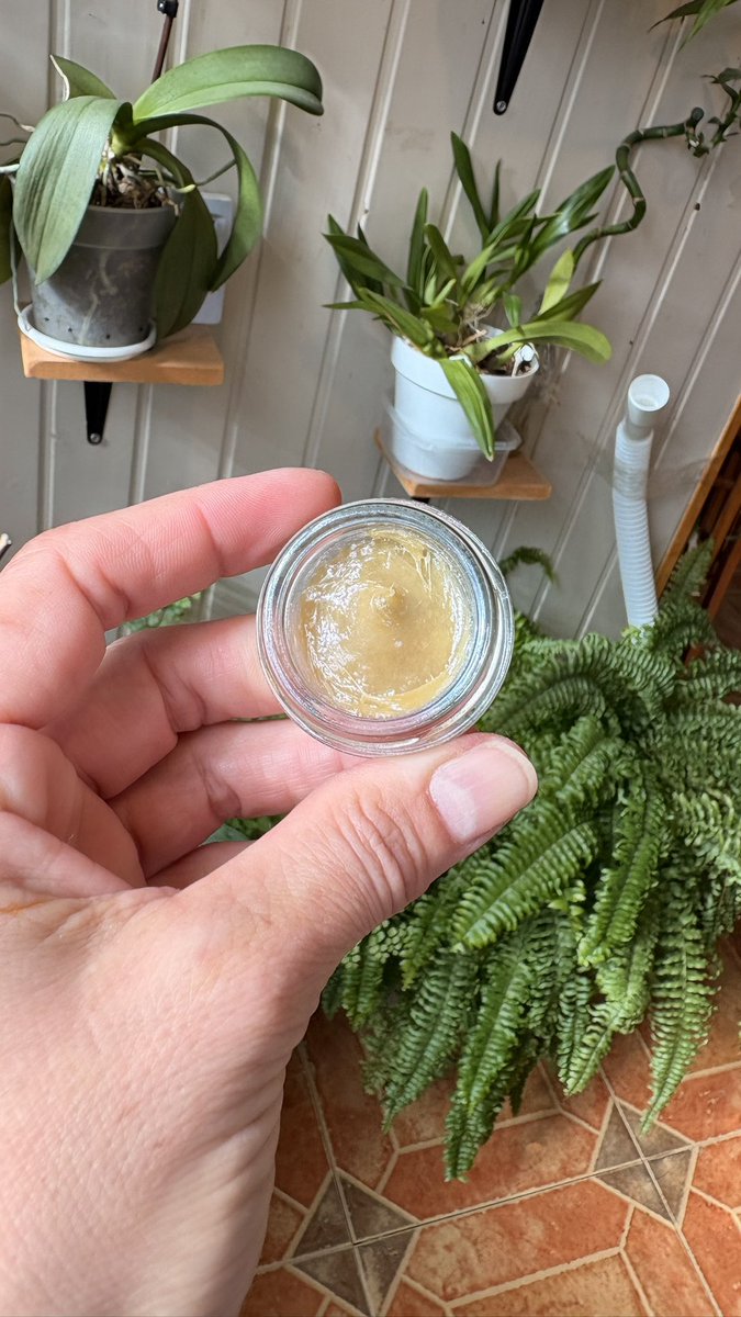draweedoficial's tweet photo. No es por nada..pero ojalá pudieran probar esto 😌
#mepongofina #thcextract https://t.co/qj2nKx6Vmz