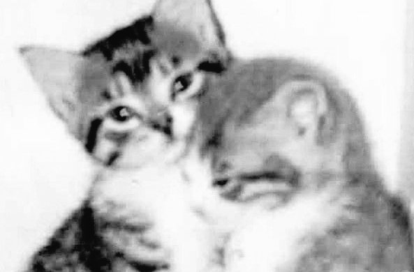 Happy 11 months to us too, love. It's been a wild ride—I'm so grateful for our togetherness, our moments, highs and lows.