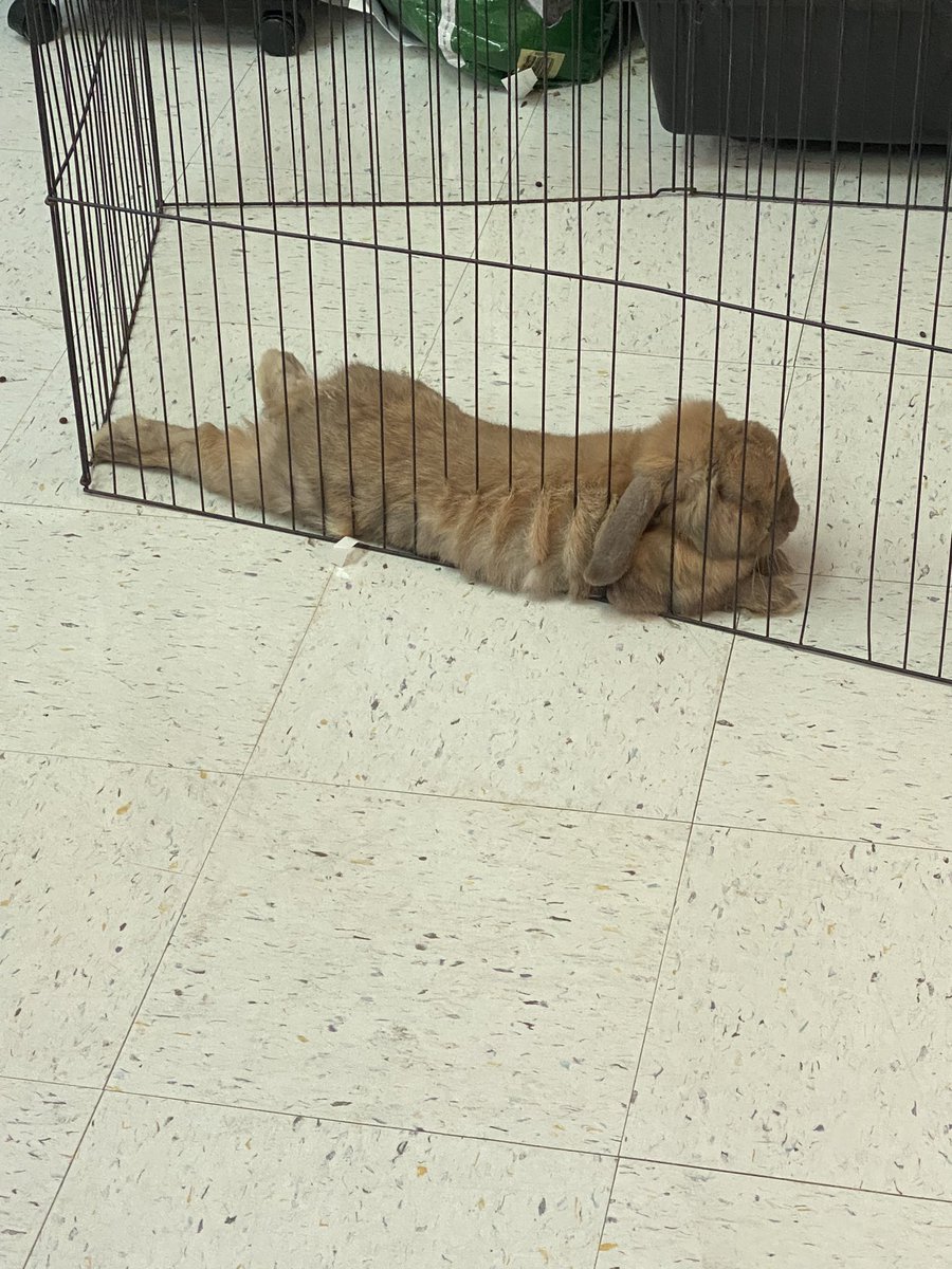 Maria  Macedo tweet media