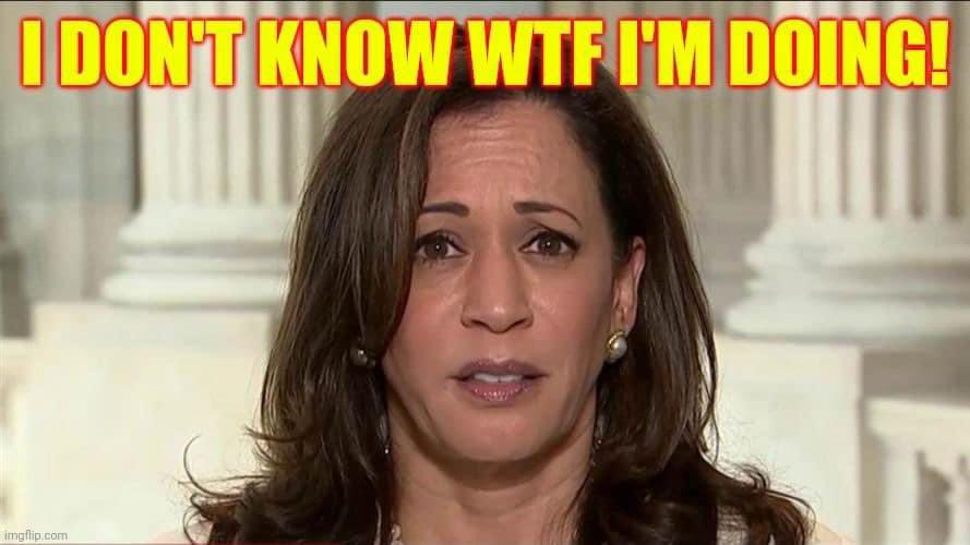 Kamala: vote for me because you don’t like him!! 

also kamala: