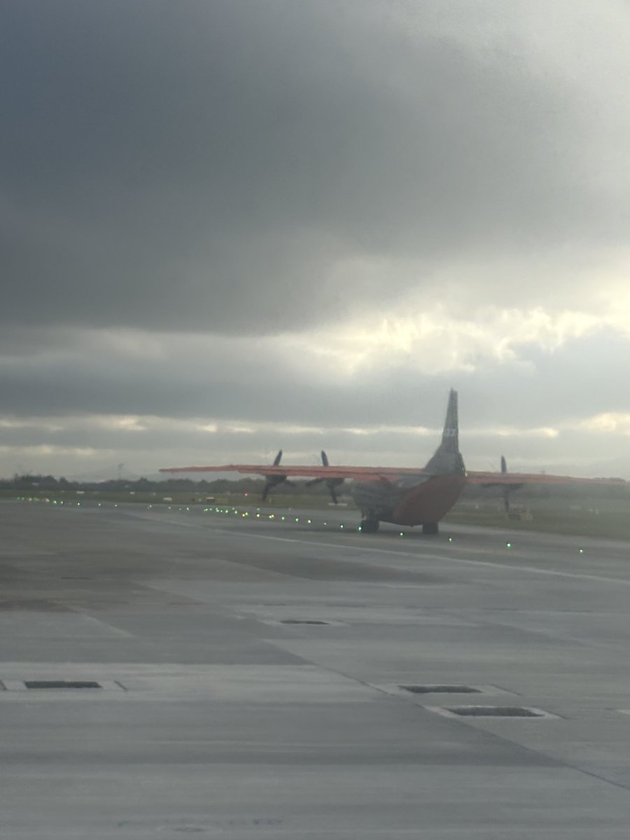 Stephanie 🦋 tweet media