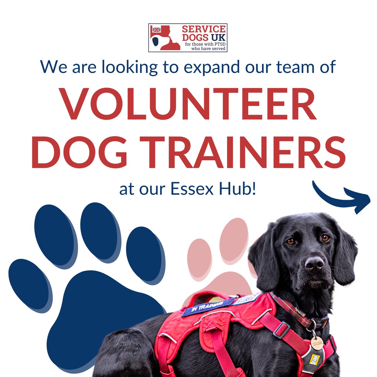 ServiceDogsUK's tweet image. We are looking for experienced dog trainers in a volunteer capacity to join our training team in our Essex Hub! 🐕‍🦺

Be a part of something special and help us continue our life changing work 🐾❤️

📧 getintouch@servicedogsuk.org 

#EssexDogtrainer #dogtrainer #Essexvolunteer