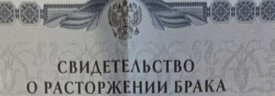 Ekaterina Petrova tweet media