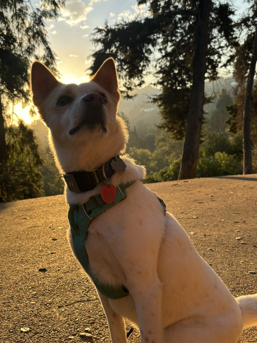 I overpacked for yet ANOTHER convention… out of a truly 16 month sprint and ready to be a whole person again! 

Had one last early hike with the boy now overjoyed to be at camp for the weekend. It’s time to see people again!!!! 

#bigbadcon incoming!