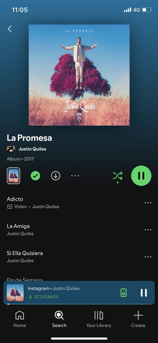 uno siempre vuelve a donde fue feliz