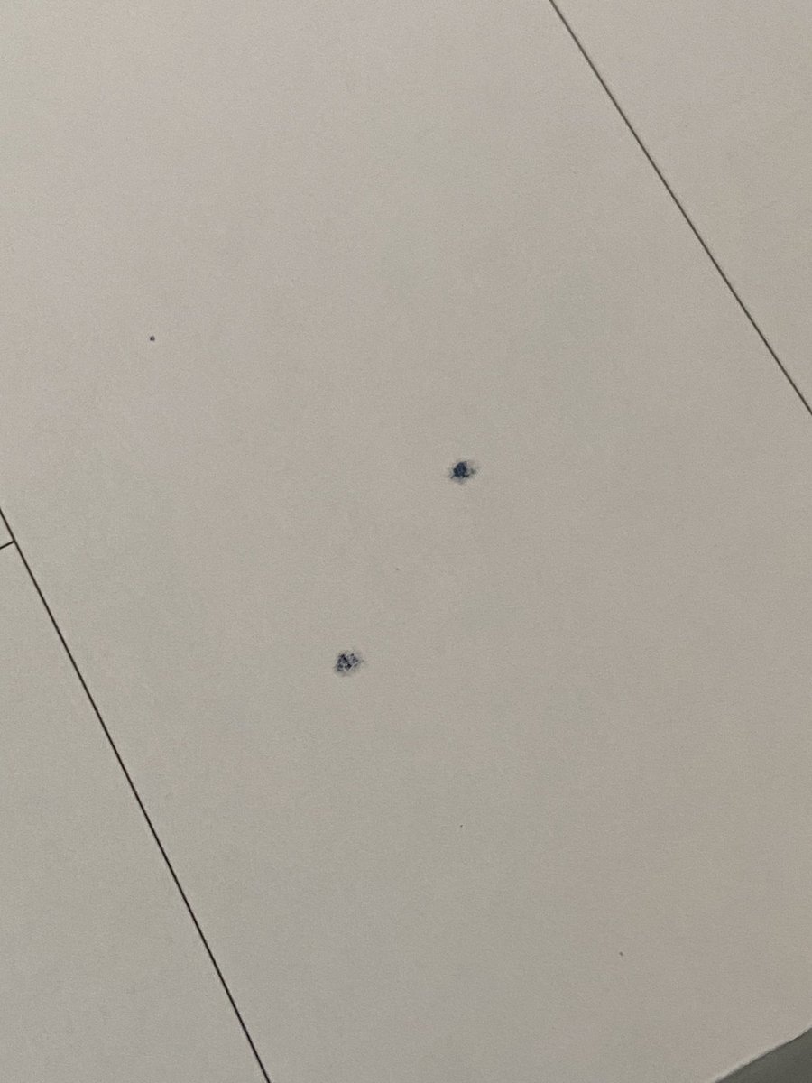 mudlock.bsky.social tweet media