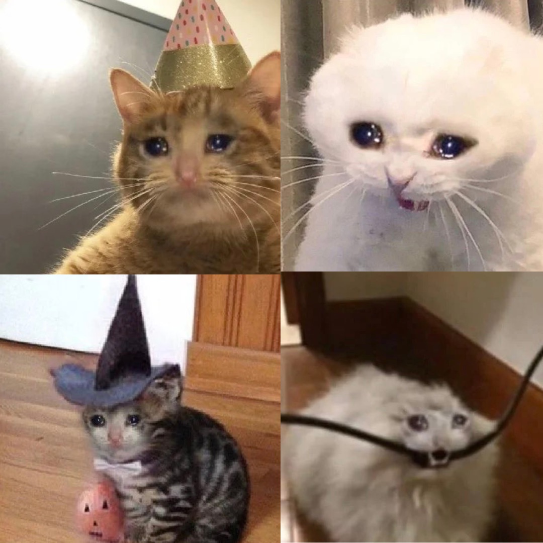 I have class, 
I give sass, 
But most importantly, my trades are ass. 

- $Crying Cat 

Ca:
2ZHYWGndLx76H7NCN4ieMRHSRAAiiWEtJFpHmmXYmE6Z