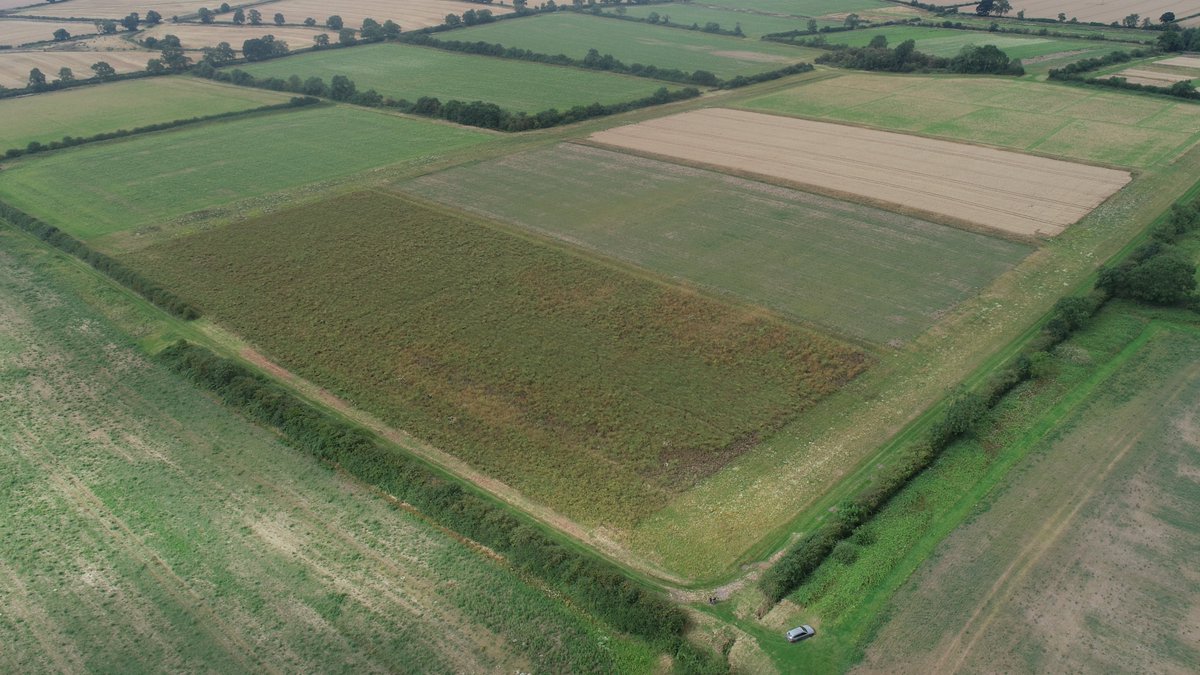 Join us on Nov 5 for <a href="/Agri_Tech_E/">Agri-TechE</a>! 

Explore our sustainability farm, The Grange, and discover innovative solutions for a tech-driven farming future.🍃

Sign up now! ➡️ bit.ly/Agri-TechE 

#ATW24 #SustainableAgriculture #AgTech