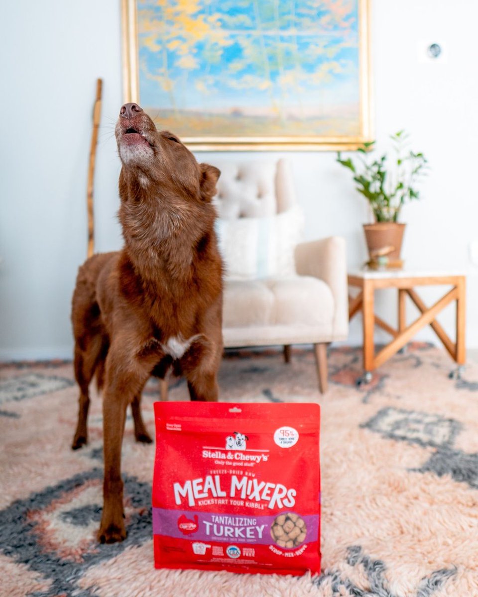 Stella &amp; Chewy's Meal Mixers are certainly something to howl over! These freeze-dried raw recipes are a nutrient-rich dog food that's picky-eater approved. Feed as a full meal or use as a topper for a boost of raw nutrition.
bit.ly/3YssAiu