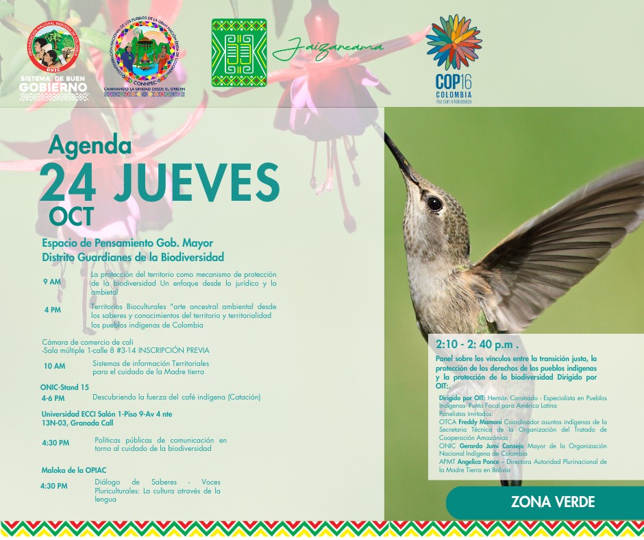 GerardoJumi's tweet photo. #AlterNativosEnLaCOP16 
🌱 Hoy jueves 24 de Octubre en la Zona Verde de la @COP16Oficial tenemos actividades para que no se las pierdan!!!!    

📷Hoy tendremos una exposición gracias a la @OITnoticias para que dialoguemos sobre la protección de los territorios y de los derechos humanos en favor de los pueblos ancestrales.

Los esperamos.