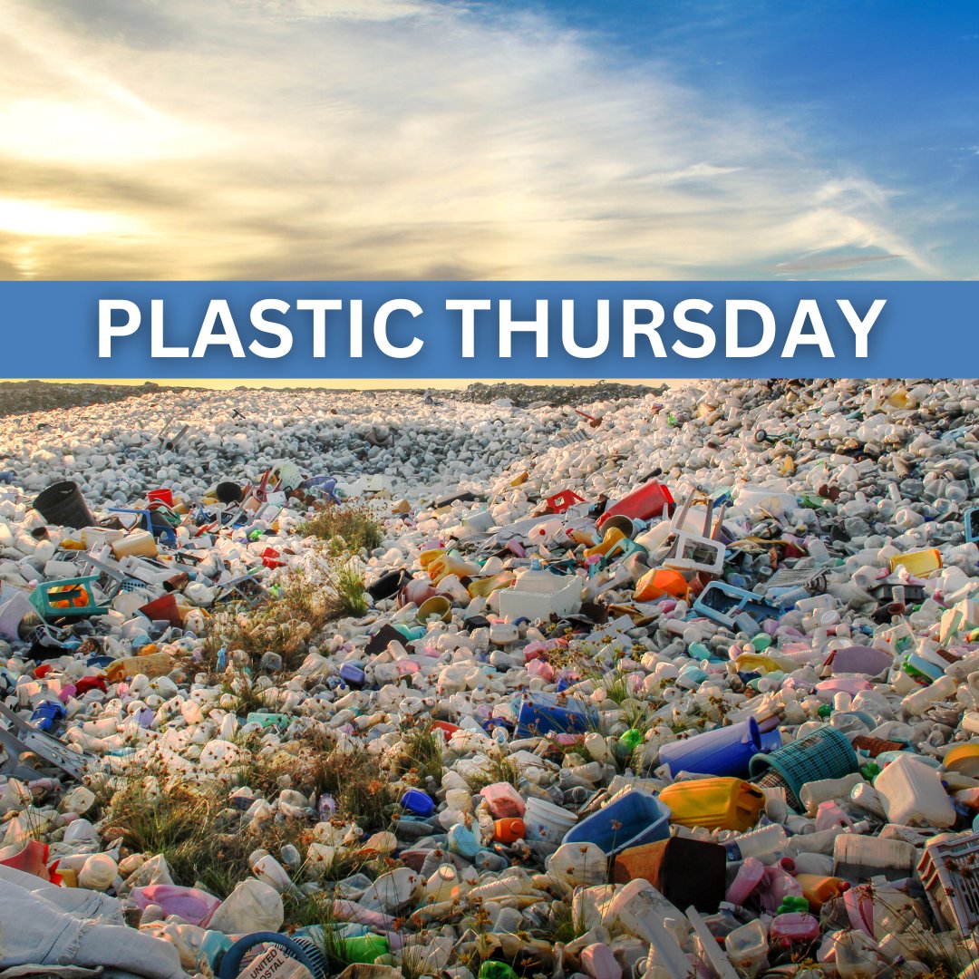 Since the 1950s, 8.3 billion tons of plastic have been produced, but only 23% has been recycled! By 2050, 12 billion tons will be lost to disposal. 
Let’s take action:

*Reduce plastic use at home 
*Support companies with sustainable practices 
*Advocate for better recycling