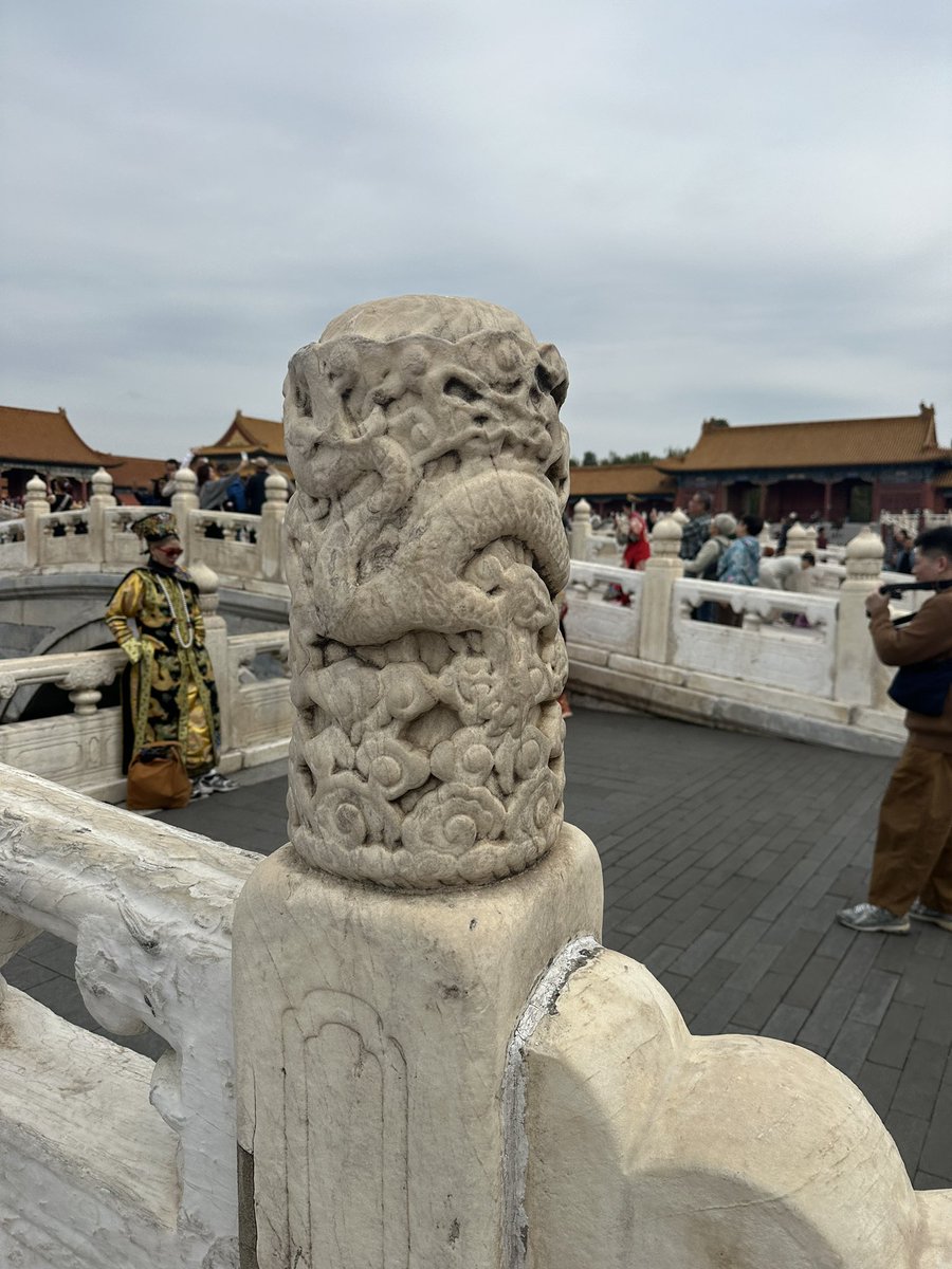 Forbidden City in Beijing - learned a ton of history! I promise I will post pictures from the #youngscientistsconference too, since I did go to #beijing for that! 🤣 #forbiddencity #thisiswhatascientistlookslike #diversityinstem #womeninstem #diversitymatters