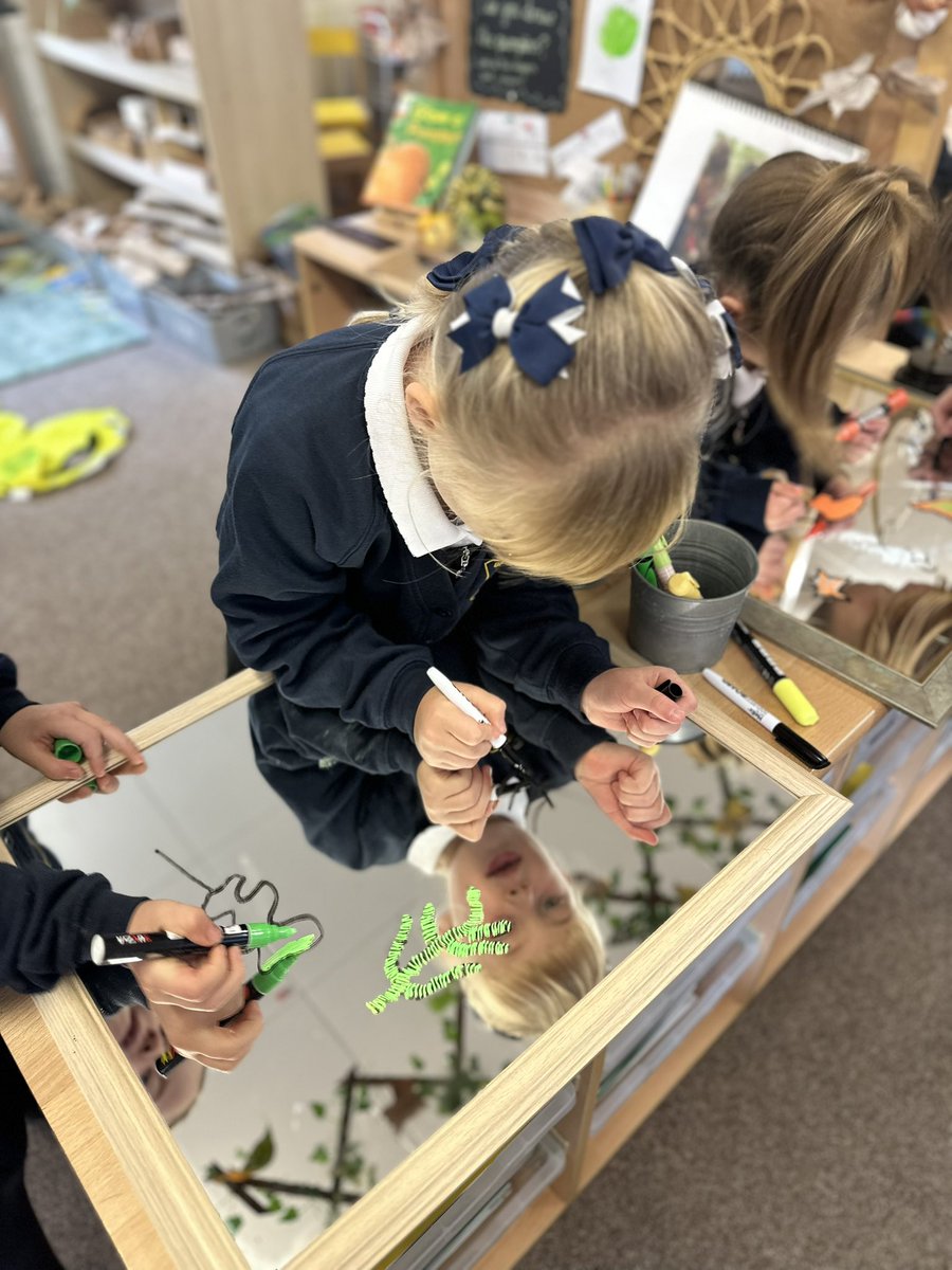 Dosbarth Lili Y1 used mirrors and reflections to draw the leaves we found in our school forest. We were able to talk about how they were evergreen or deciduous based on what they looked like 🍃🌿🎨 <a href="/EAS_ExpressArts/">EAS_ExpressiveArts</a> #CreativeContributors