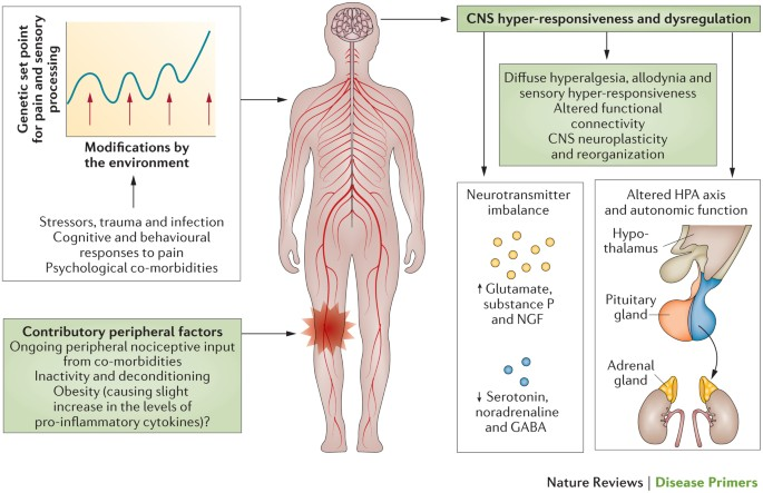 Dr. Mijail Tapia tweet media