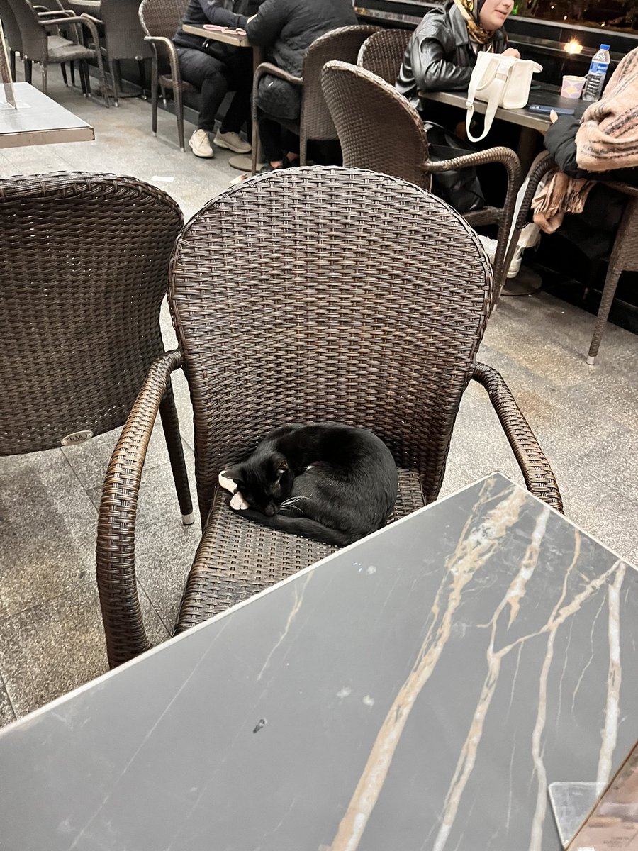 mercavs's tweet photo. Benim bugünkü date 😻 https://t.co/EZEaDJ8Lqh